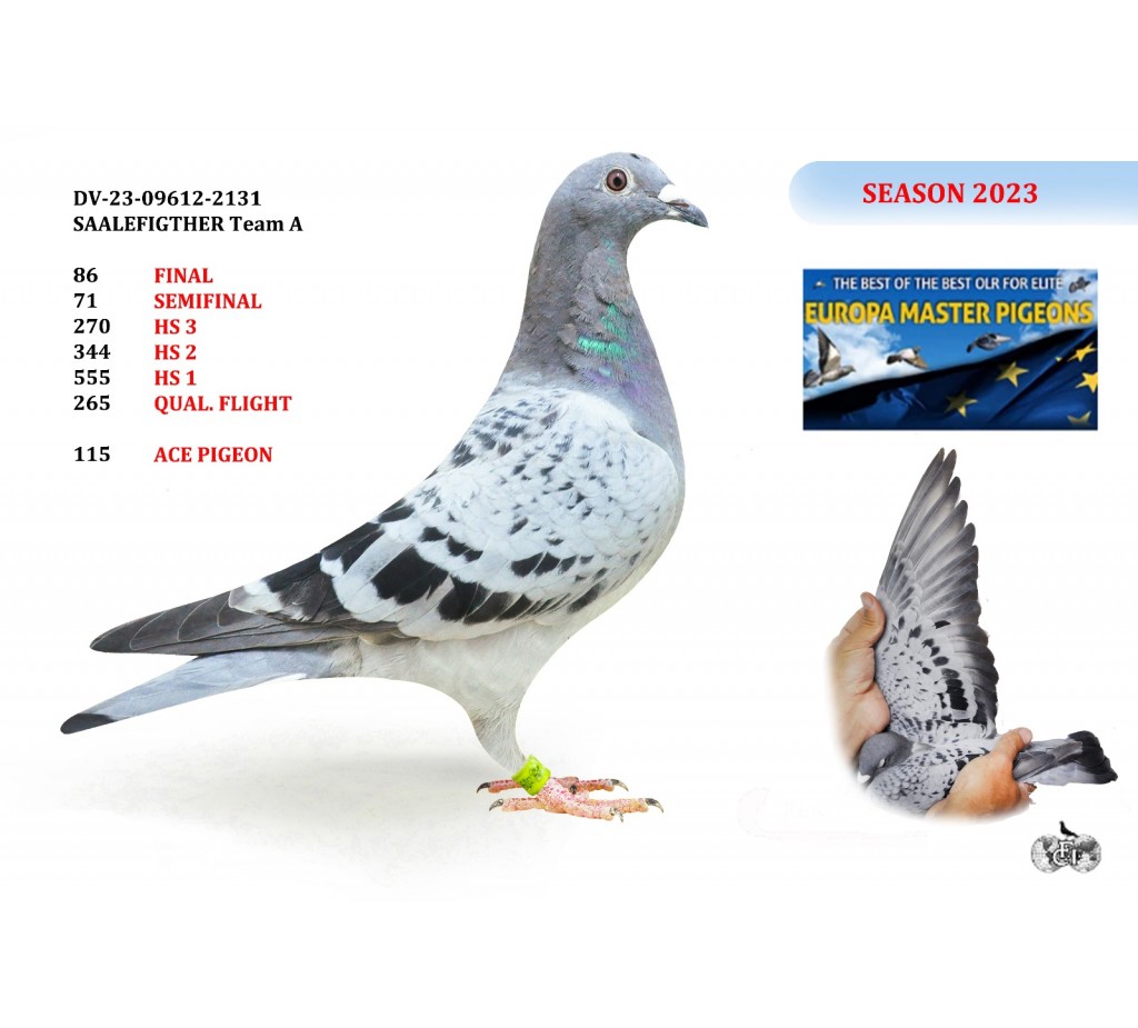 86th Place DV-09612-23-2131 SAALEFIGHTHER