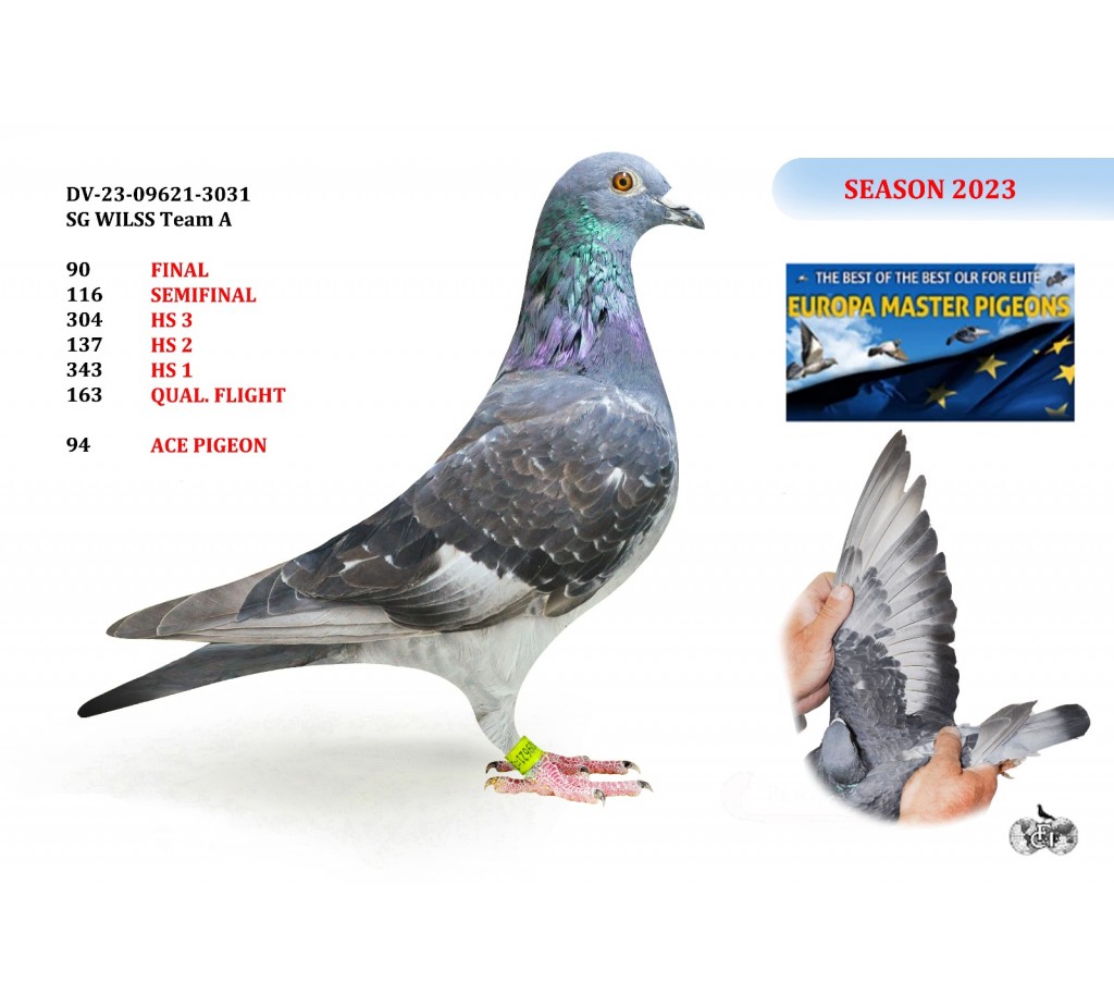 90th Place - DV-09621-23-3031 - SG WILSS