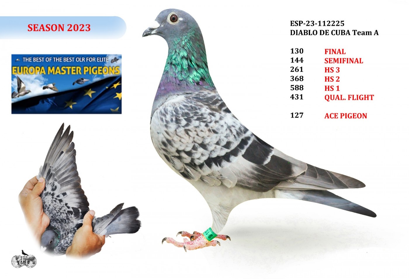 130th place - ESP-23-112225 - DIABLO DE CUBA Team A