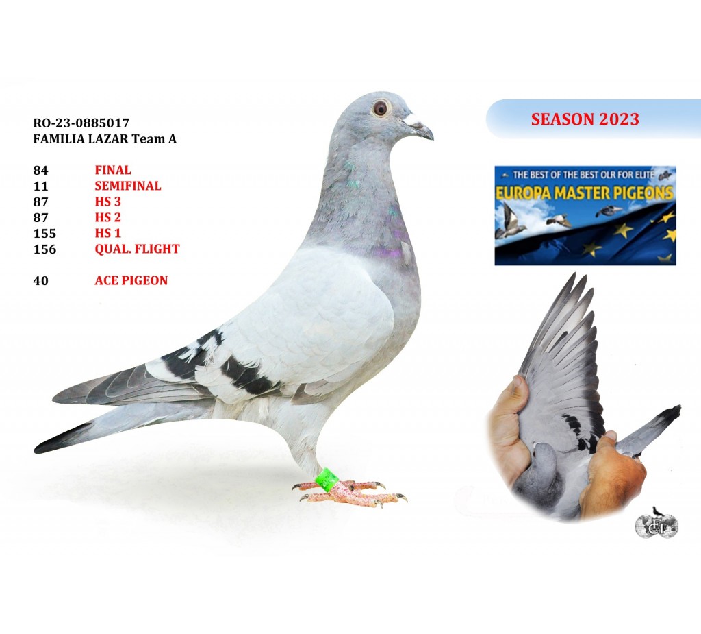 84th Place RO-23-0885017 - Familia Lazar