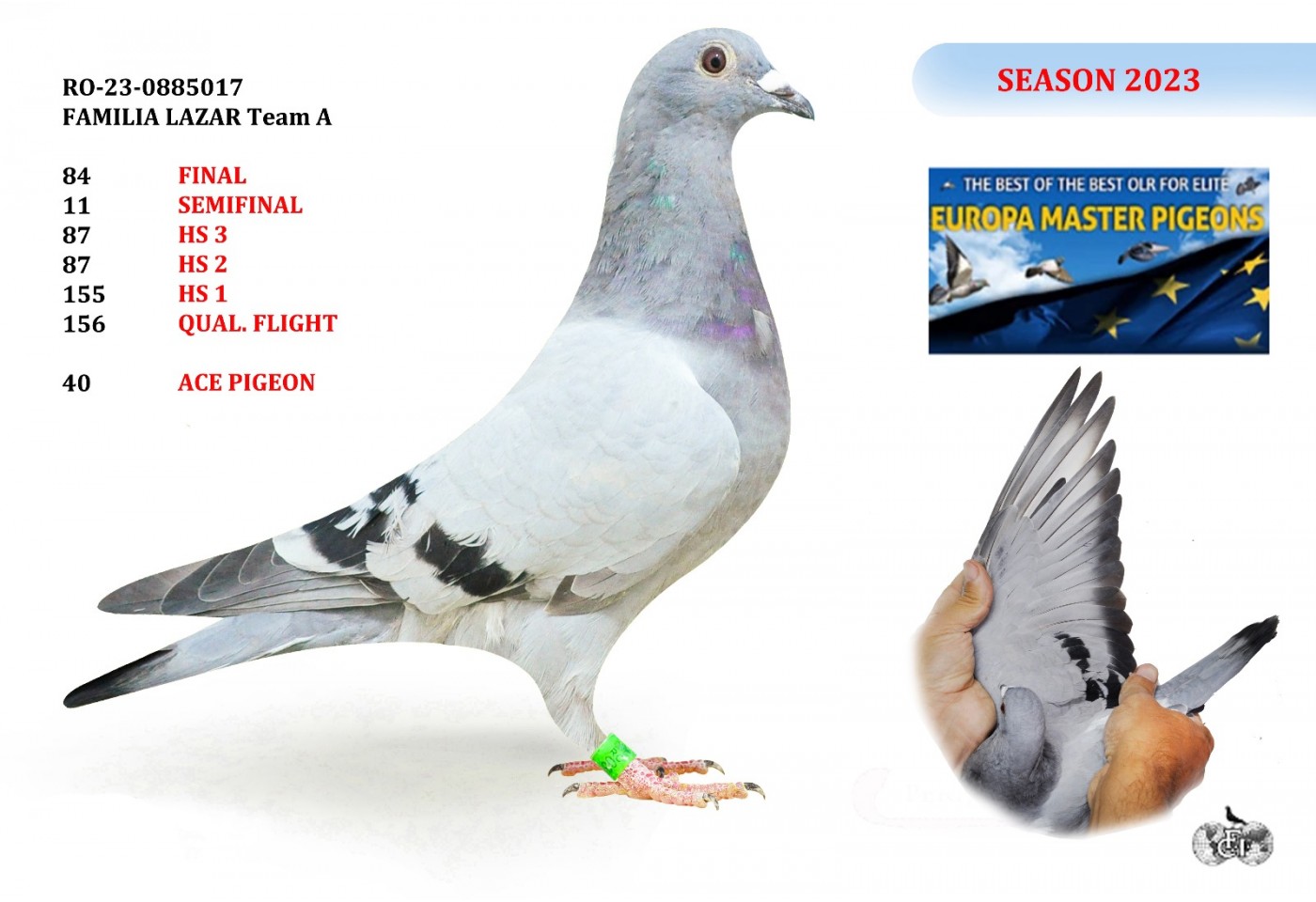 84th Place RO-23-0885017 - Familia Lazar
