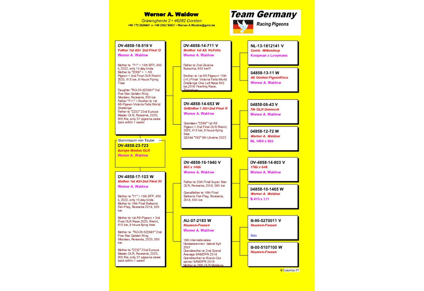 262th Place HS3 - DV-04858-23-723 - Werner A. Waldow