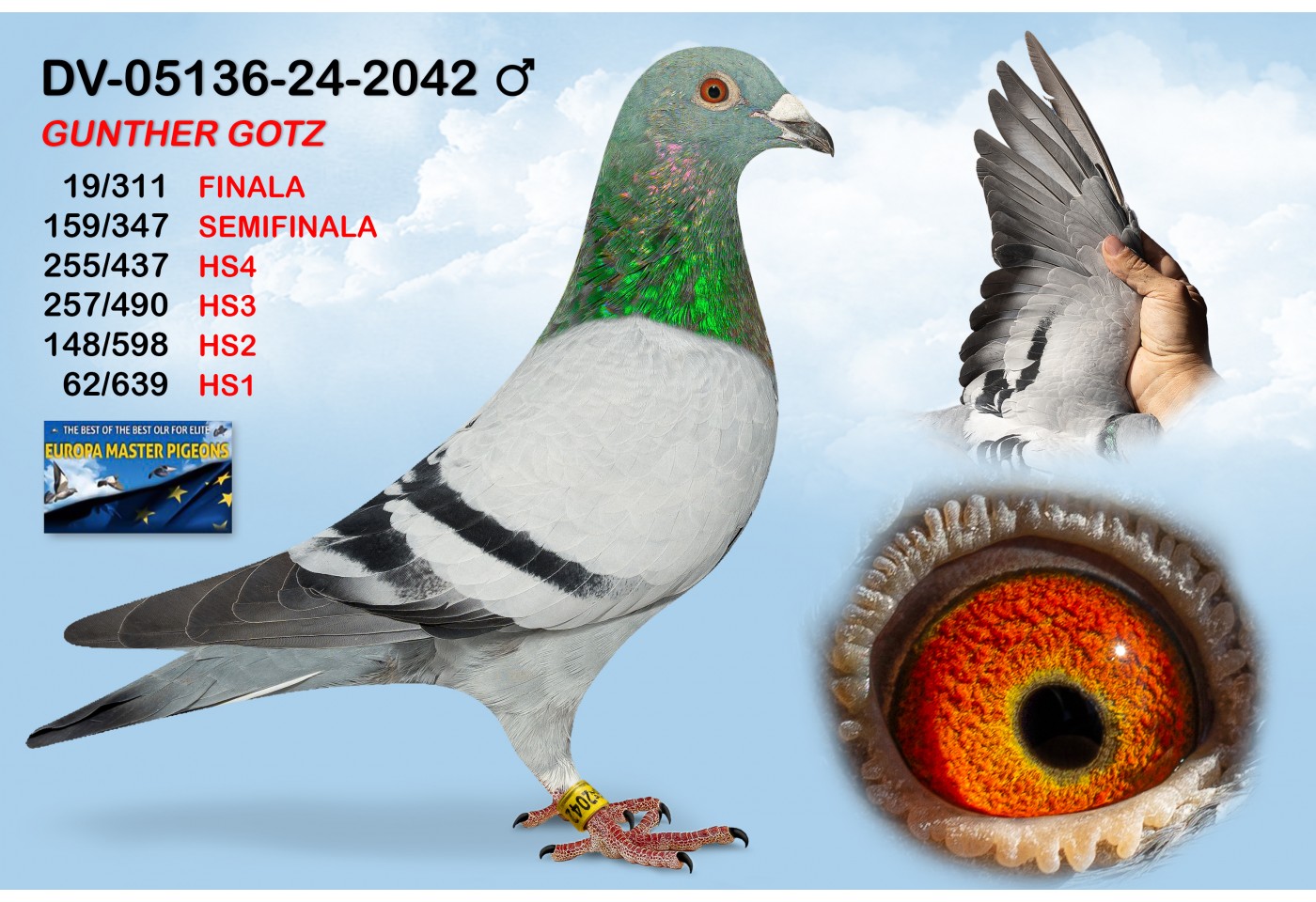 (♂️) DV-05136-24-2042 - GOTZ GUNTHER