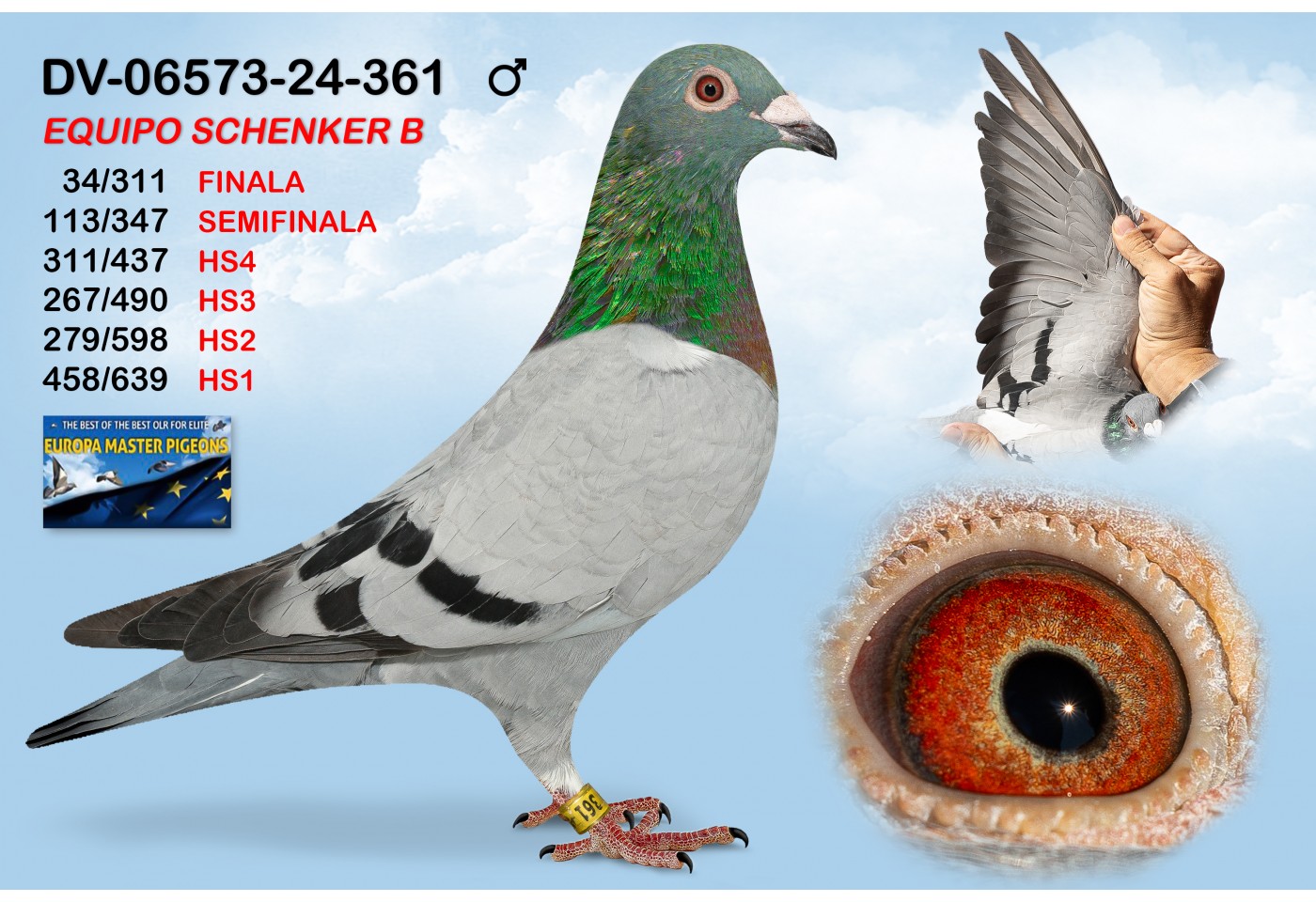 (♂️) DV-06573-24-361 - TEAM SCHENKER