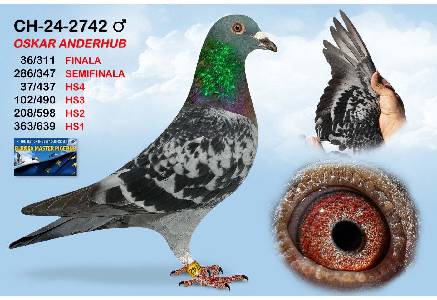 (♂️) CH-24-2742 - OSKAR ANDERHUB