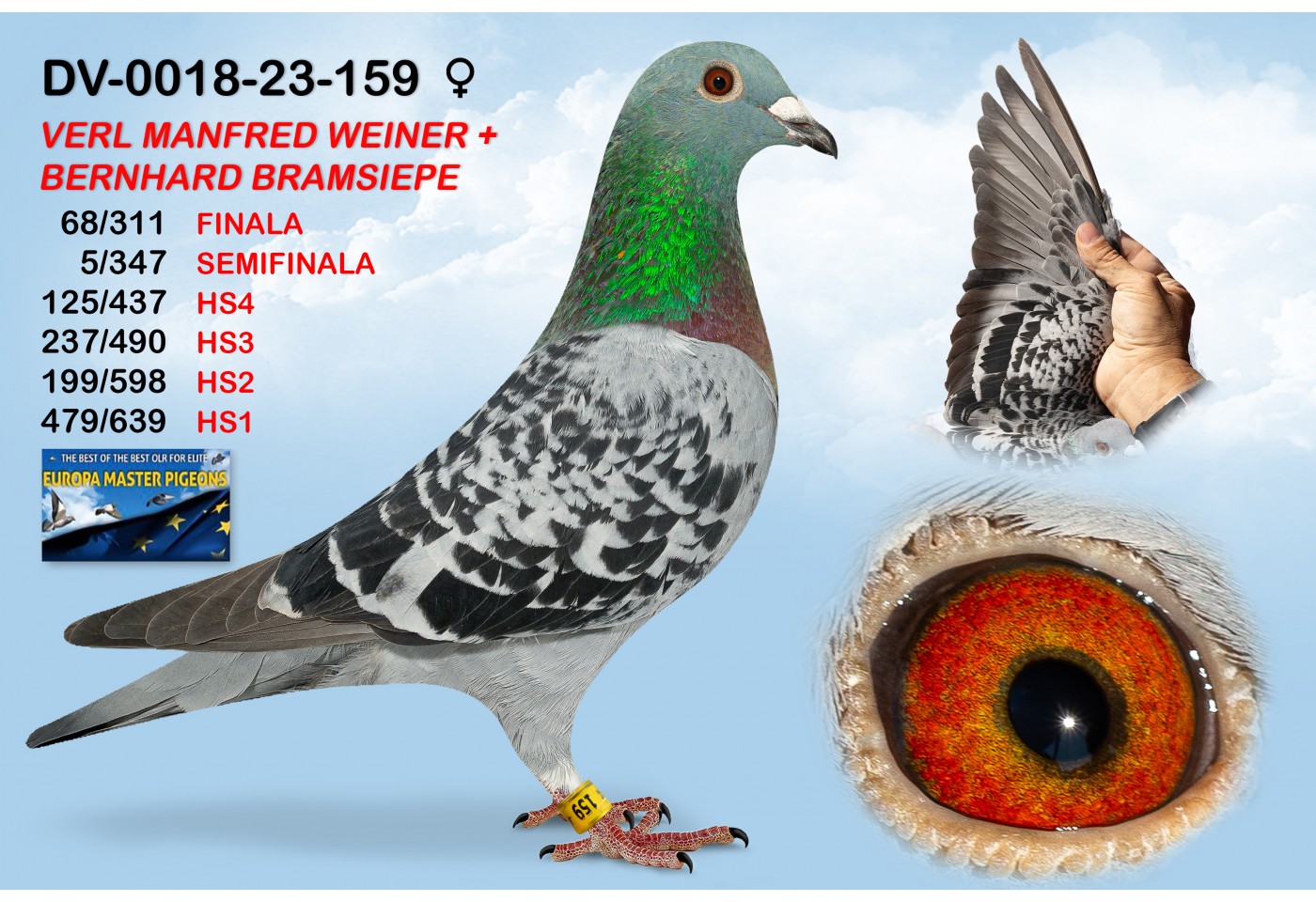 (♀️) DV018-24-159 - VERL MANFRED WEINER + BERNHARD BRAMSIEPE