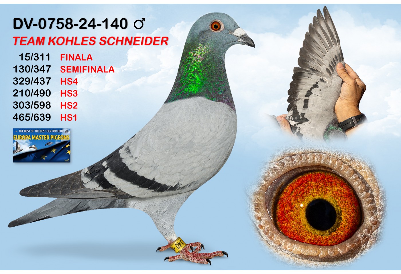 (♂️) DV-0758-24-140 - KOHLES SCHNEIDER
