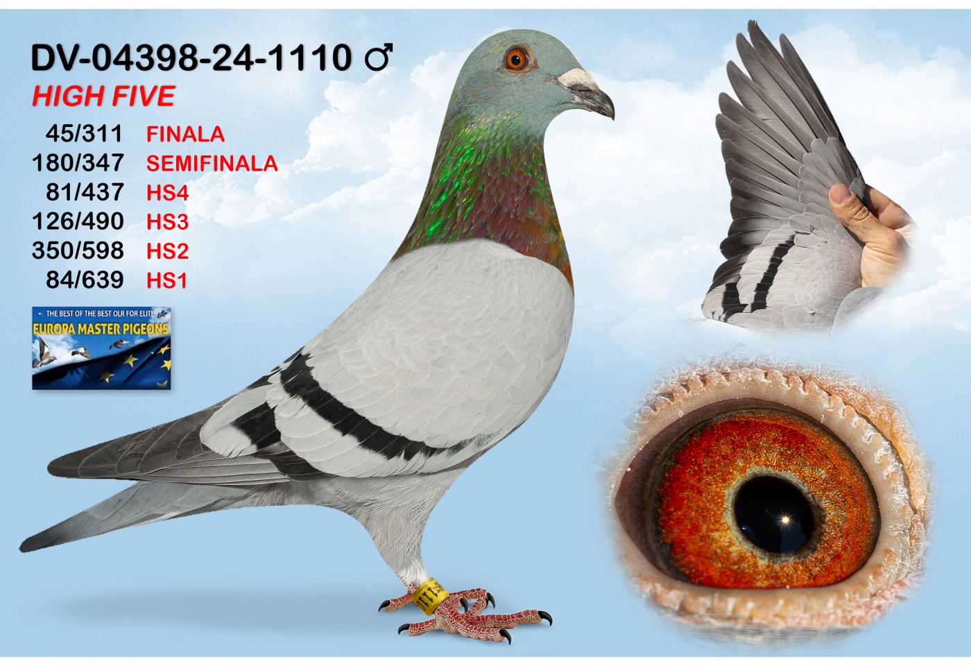 (♂️) DV-04398-24-1110 - HIGH FIVE