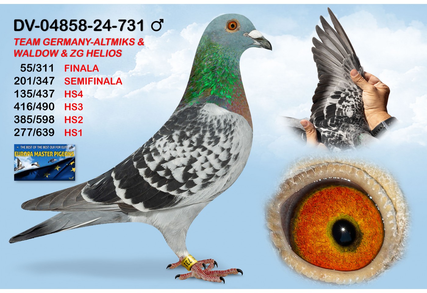 (♂️) DV-04859-24-731 - TEAM GERMANY - ALTMINKS & WALDOW & ZG HELIOS