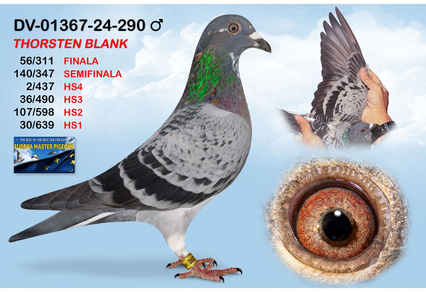 (♂️) DV-01367-24-290 - THORSTEN BLANK