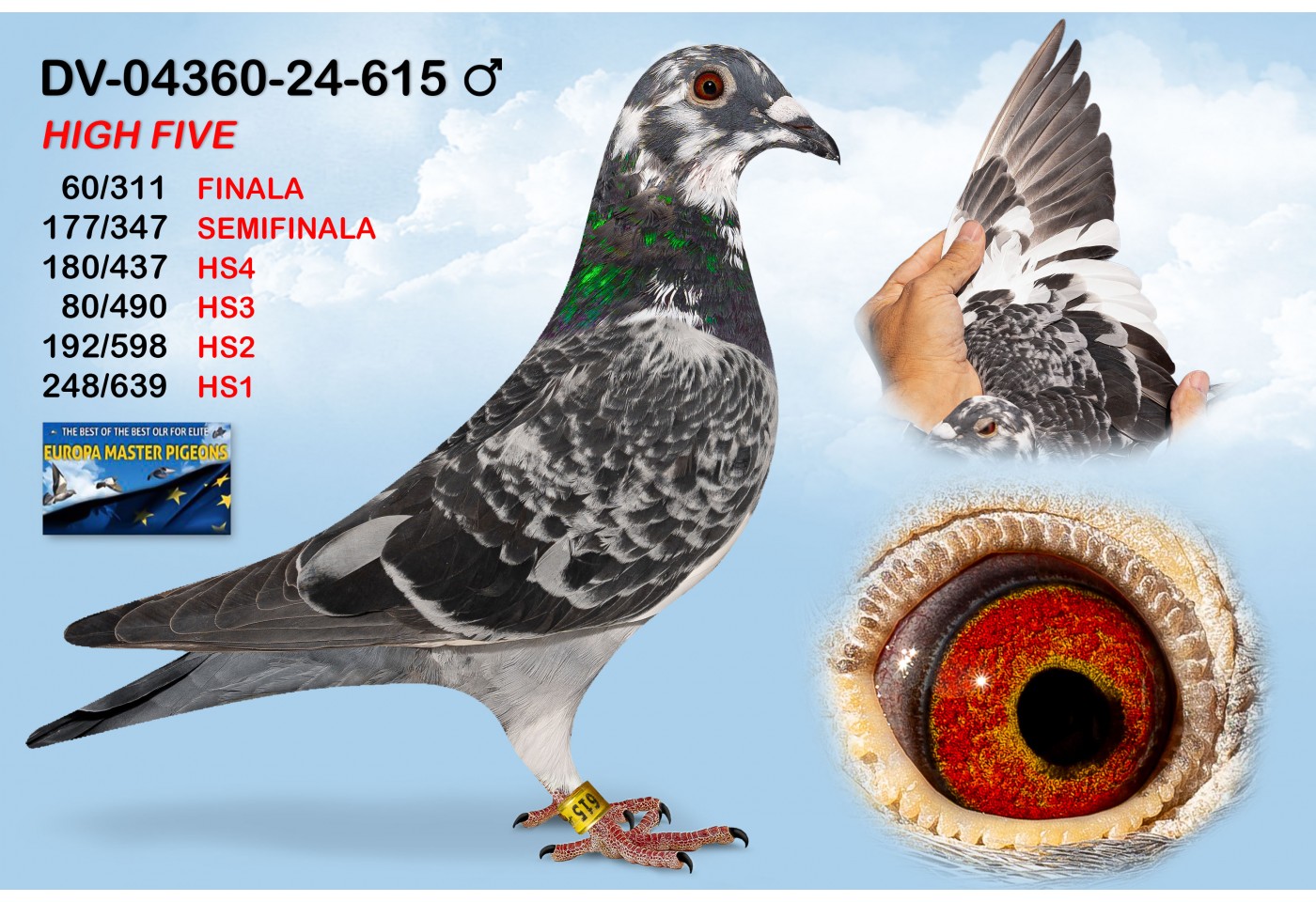 (♂️) DV-04360-24-615 - HIGH FIVE