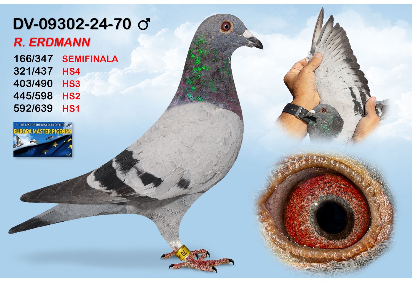 (♂️) DV-9302-24-70 - R. ERDMANN