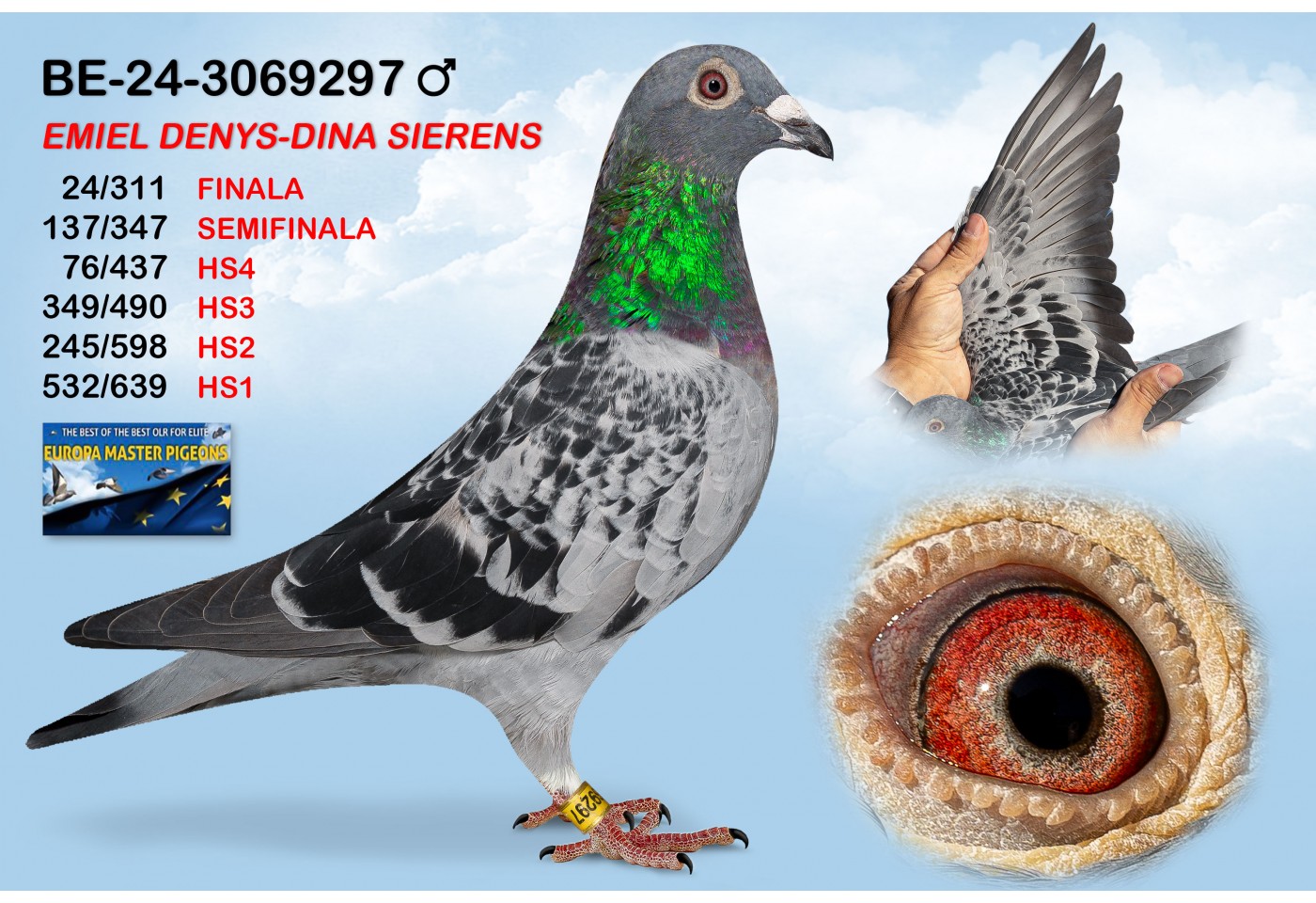 (♂️) BE-24-3069297 - EMIEL DENYS - DINA SIERENS