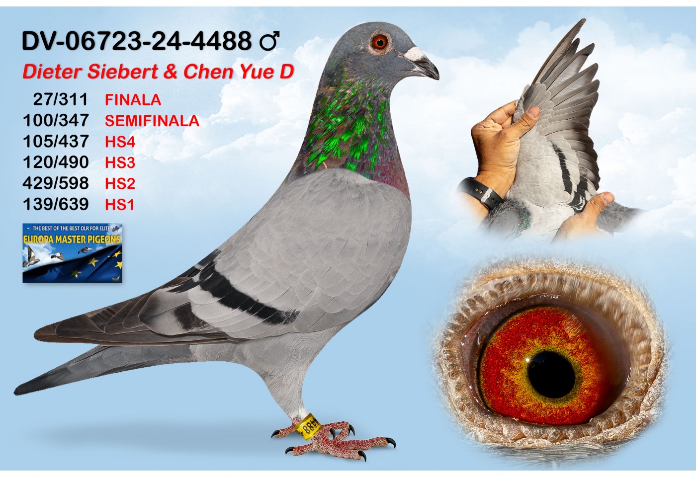(♂️) DV-06723-24-4488 - DIETER SIEBERT & CHEN YUE A