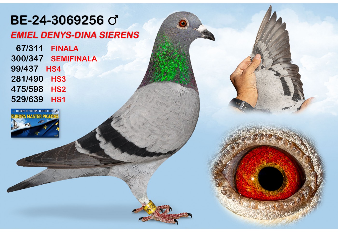 (♂️) BE-24-3069256 - EMIEL DENYS - DINA SIERENS