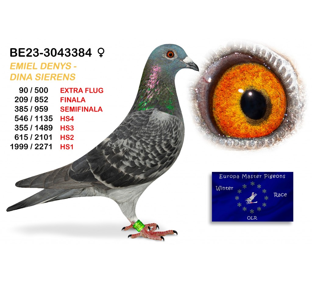 (♀️) 209th place - BE-23-3043384 EMIEL DENYS - DINA SIERENS