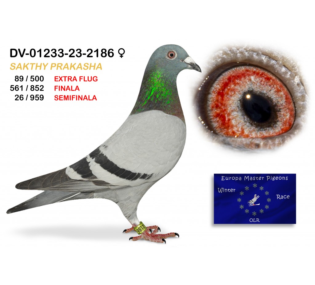 (♀️) 561th place - DV-01233-23-2186 SAKTHI PRAKASHA