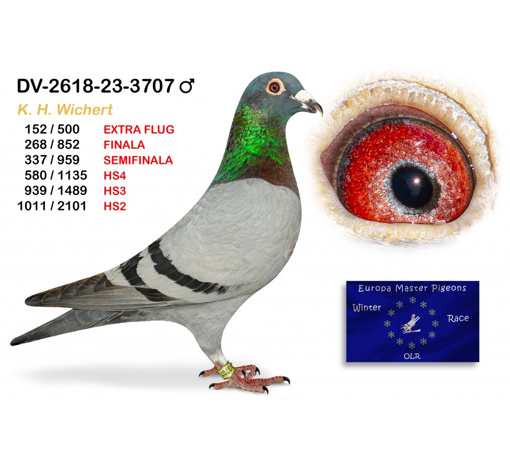 (♂️) 268th place - DV-02618-23-3707 K H WICHERT