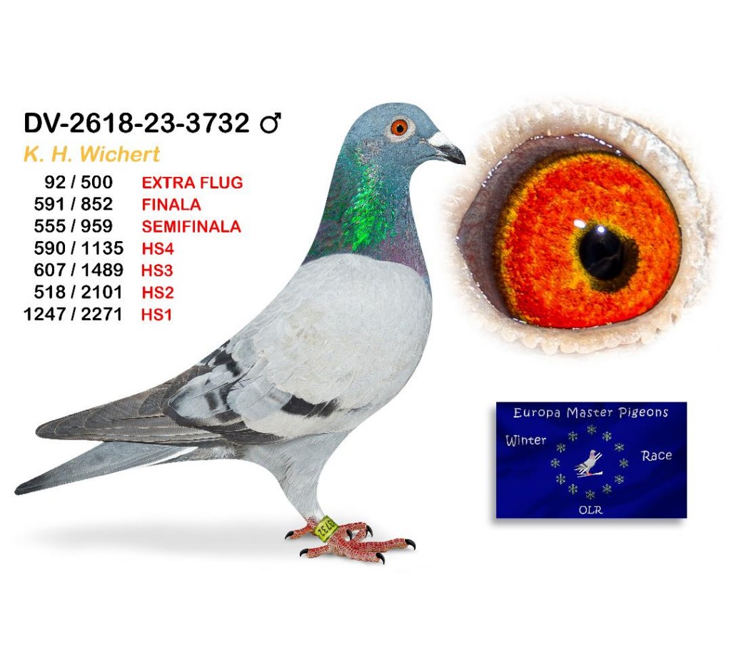 (♂️) 591th place - DV-02618-23-3732 K H WICHERT