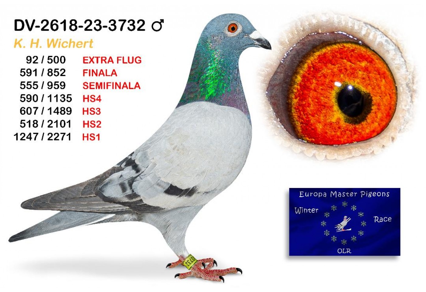 (♂️) 92th place EXTRA FLUG - DV-02618-23-3732 K H WICHERT