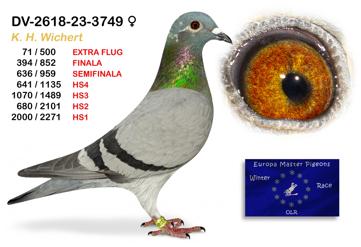 (♀️) 71th place EXTRA FLUG - DV-02618-23-3749 K H WICHERT