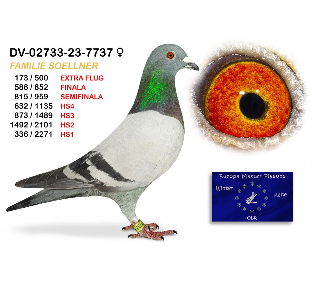 (♀️) 588th place - DV-02733-23-7737 FAMILIE SOELLNER