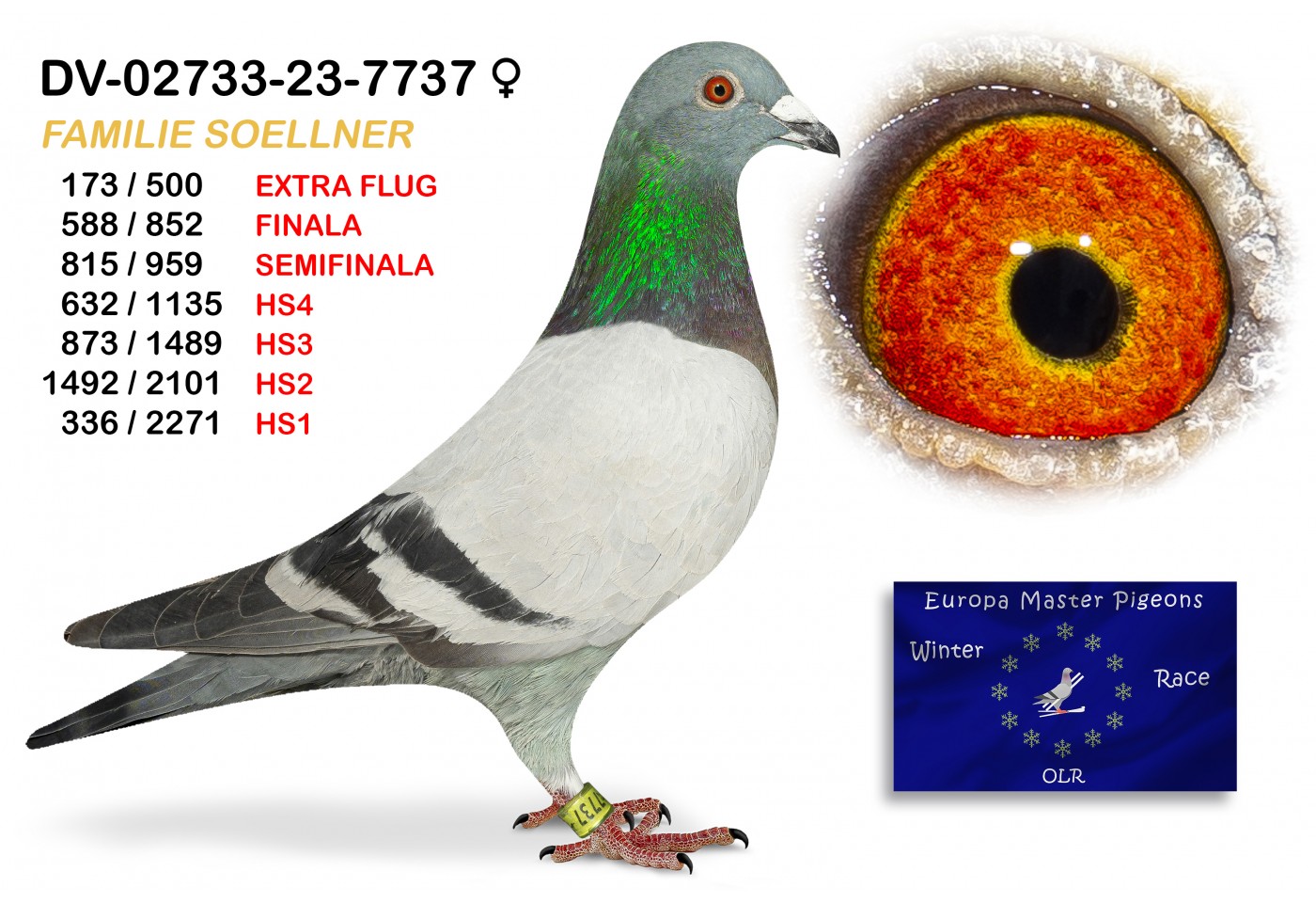 (♀️) 588th place - DV-02733-23-7737 FAMILIE SOELLNER