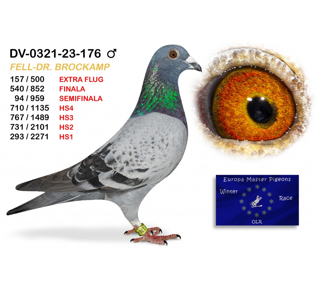 (♂️) 540th place - DV-0321-23-176 TEAM FELL-DR. BROCKAMP