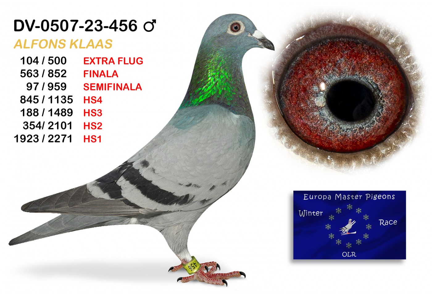 (♂️) 563th place - DV-0507-23-456 ALFONS KLAAS