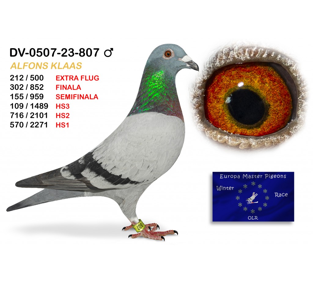 (♂️) 302th place - DV-0507-23-807 ALFONS KLAAS