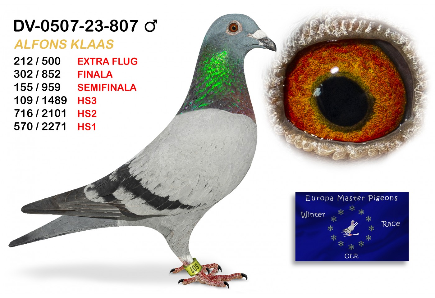 (♂️) 302th place - DV-0507-23-807 ALFONS KLAAS