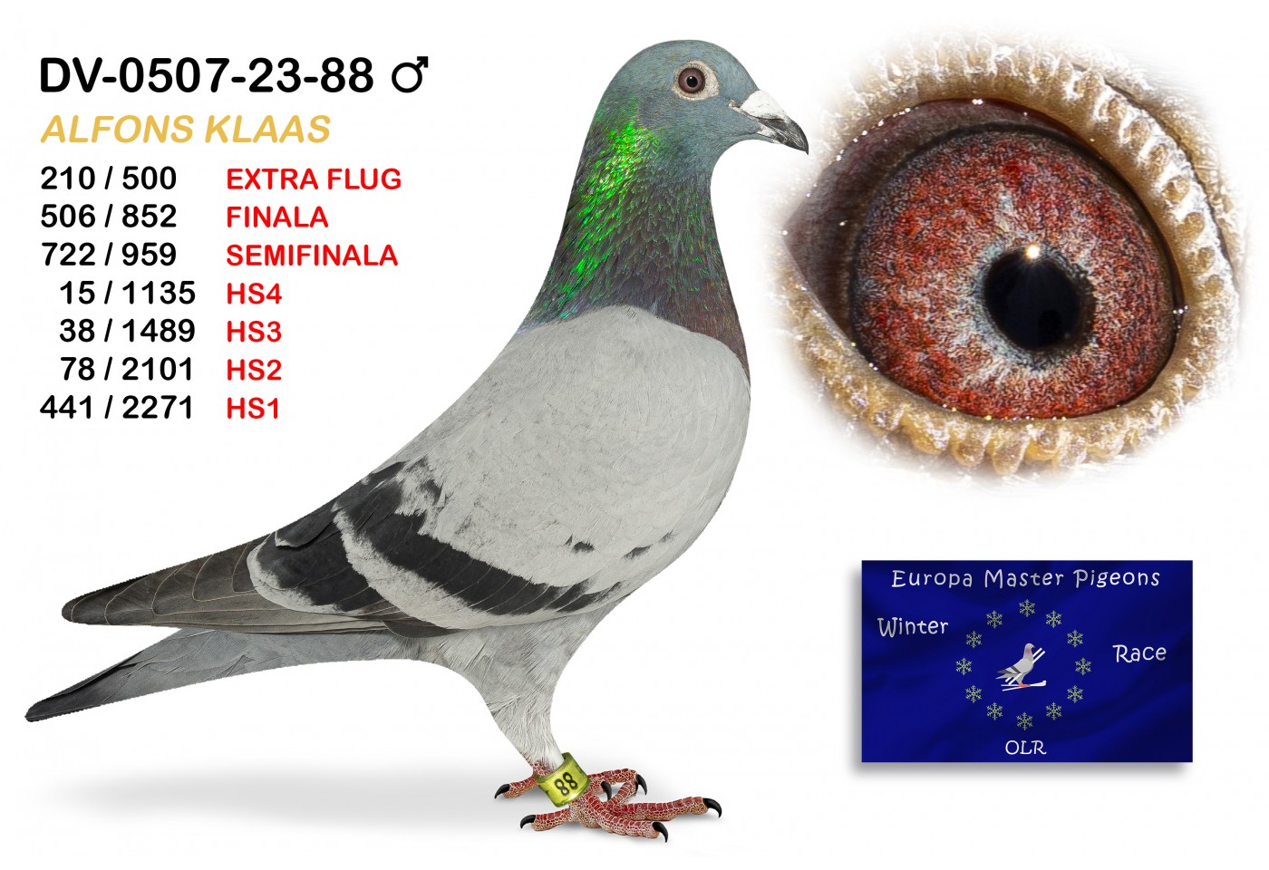 (♂️) 506th place - DV-0507-23-88 ALFONS KLAAS