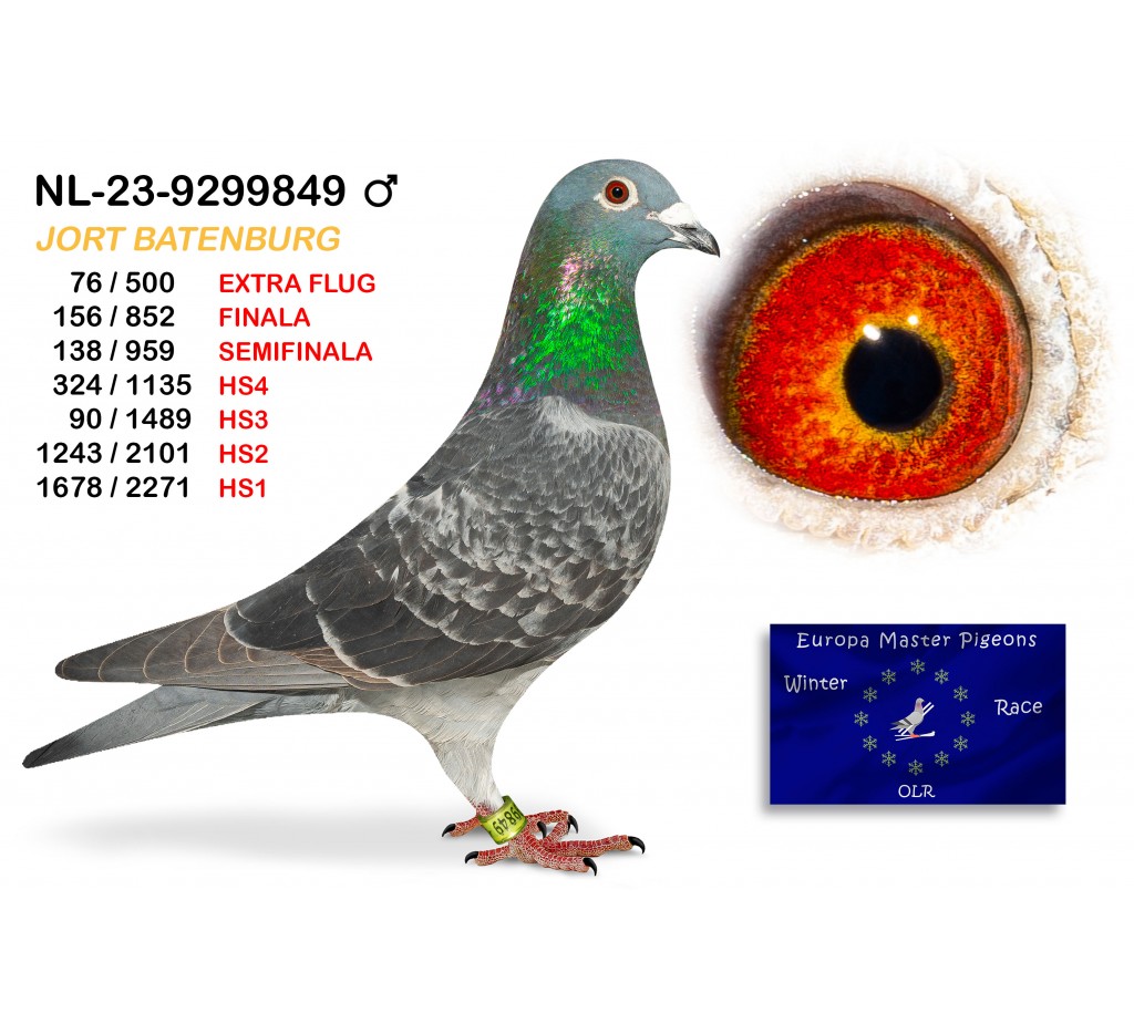 (♂️) 156th place - NL-23-9299849 JORT BATENBURG