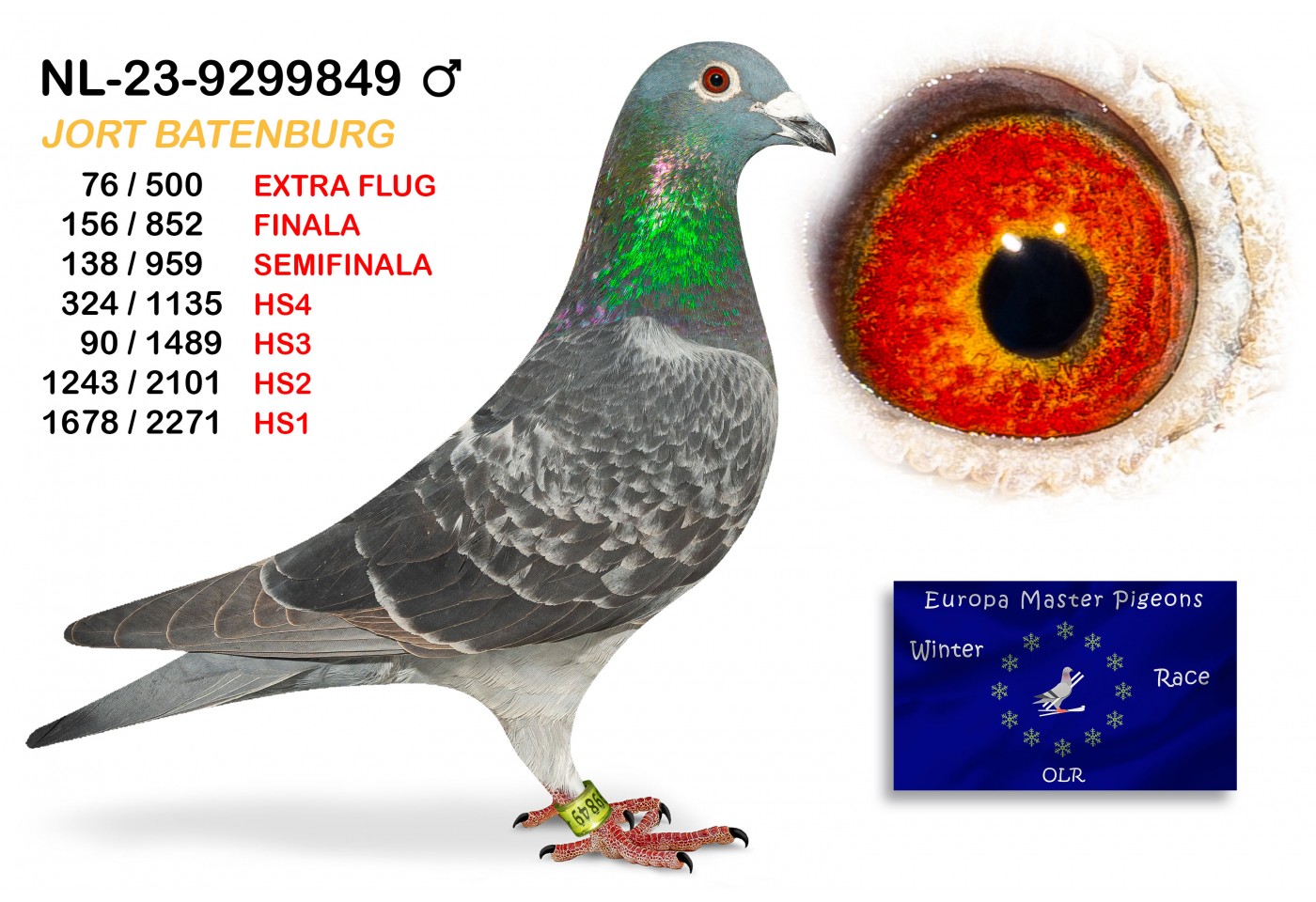 (♂️) 156th place - NL-23-9299849 JORT BATENBURG