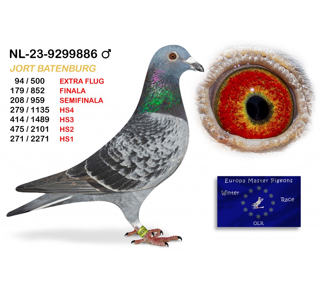 (♂️) 179th place - NL-23-9299886 JORT BATENBURG