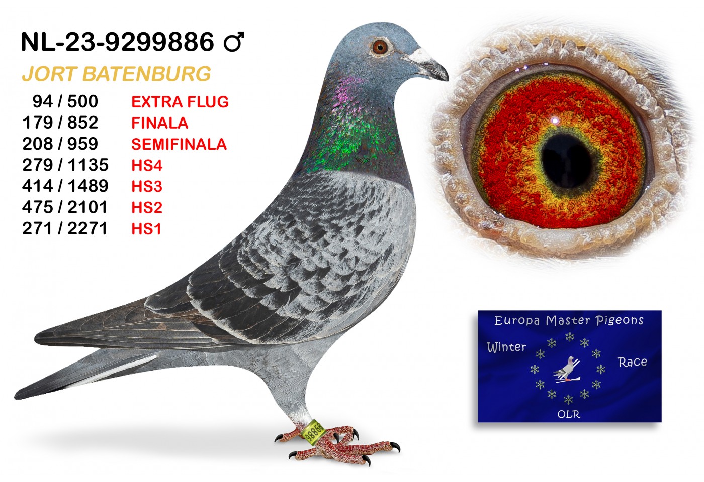 (♂️) 179th place - NL-23-9299886 JORT BATENBURG