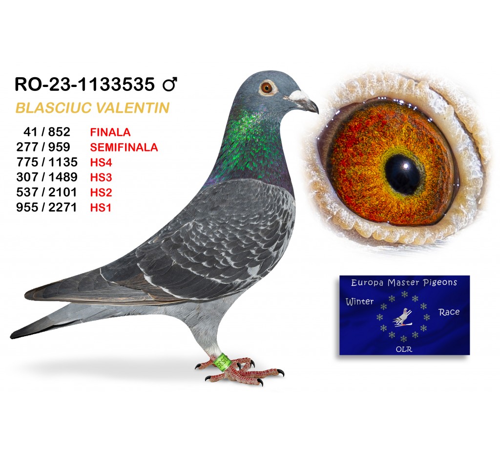 (♂️) 41th place - RO-23-1133535 BLASCIUC VALENTIN