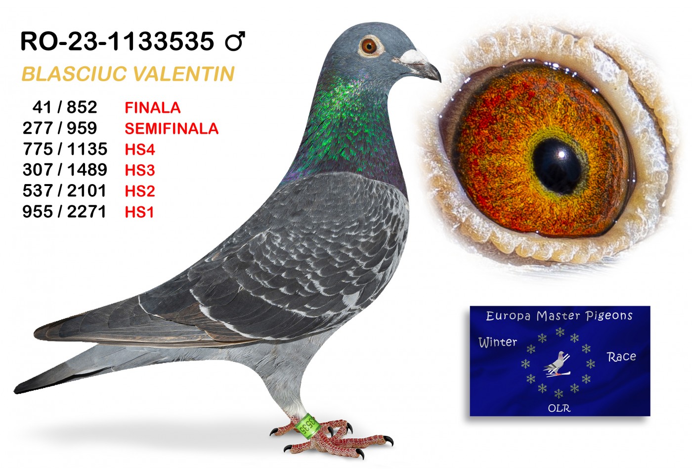 (♂️) 41th place - RO-23-1133535 BLASCIUC VALENTIN