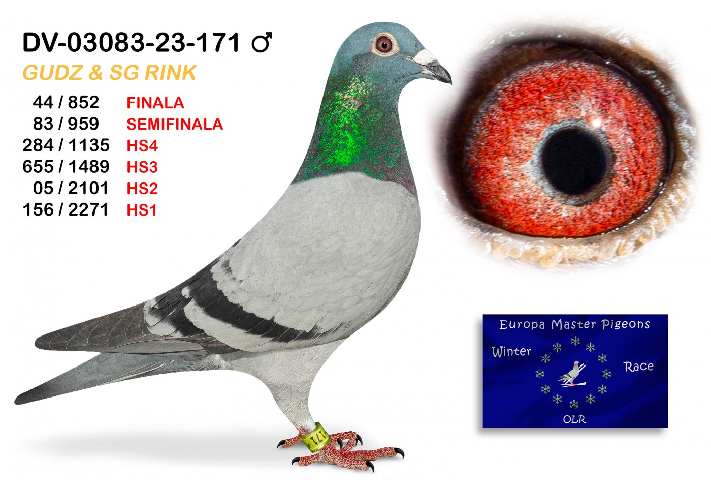 (♂️) 44th place - DV-03083-23-171 TEAM Y GUDZ & SG RINK