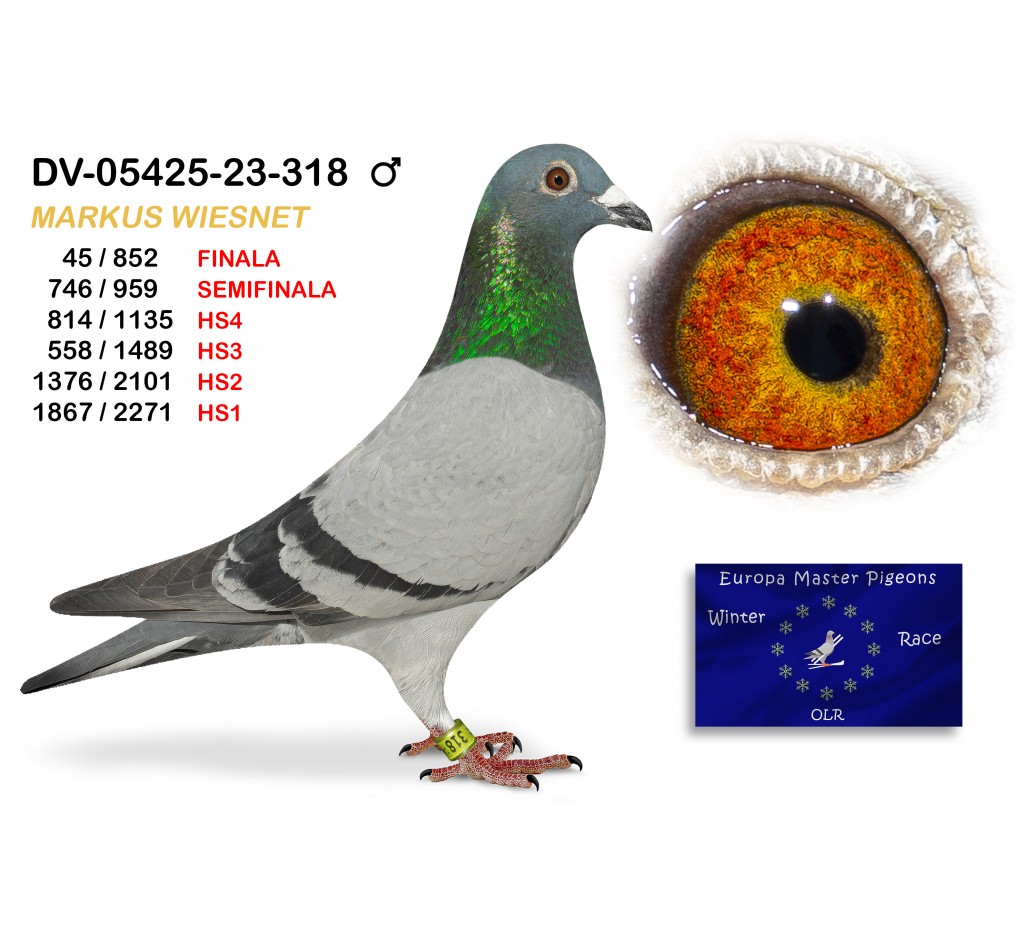 (♂️) 45th place - DV-05425-23-318 MARKUS WIESSNET