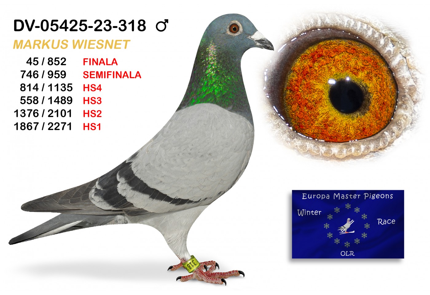 (♂️) 45th place - DV-05425-23-318 MARKUS WIESSNET