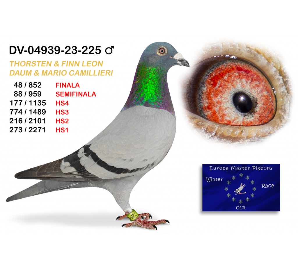 (♂️) 48th place - DV-04939-23-225 TEAM THORSTEN& FINN LEON & MARIO CAMILIERI