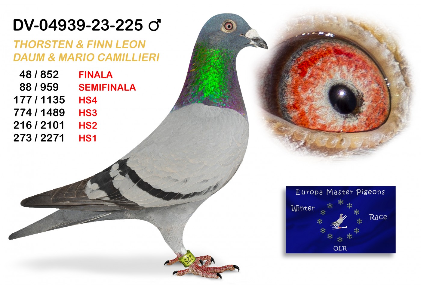 (♂️) 48th place - DV-04939-23-225 TEAM THORSTEN& FINN LEON & MARIO CAMILIERI