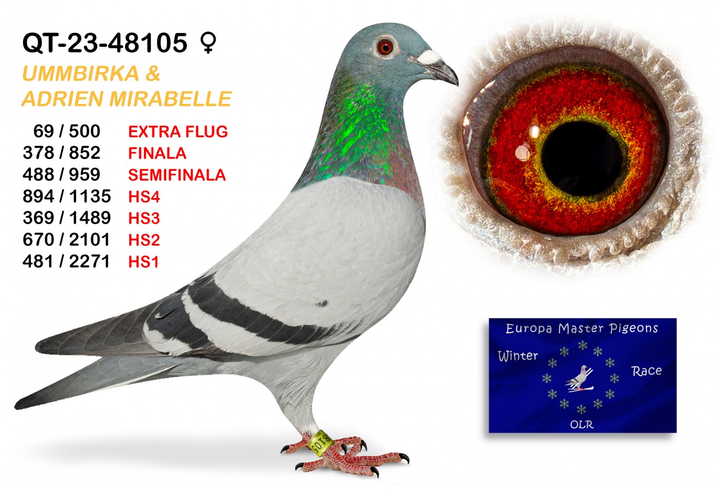 (♀️) 378th place - QT-23-48105 UMMBIRKA & ADRIEN MIRABELLE