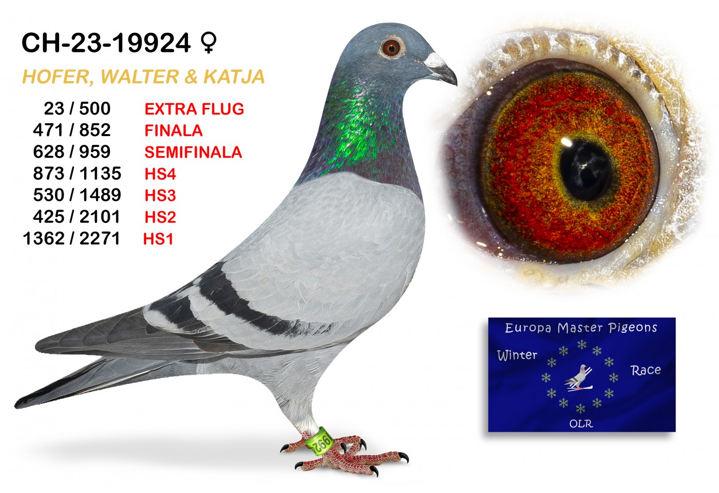 (♀️) 23th place EXTRA FLUG - CH-23-19924 HOFER WALTER KATJA