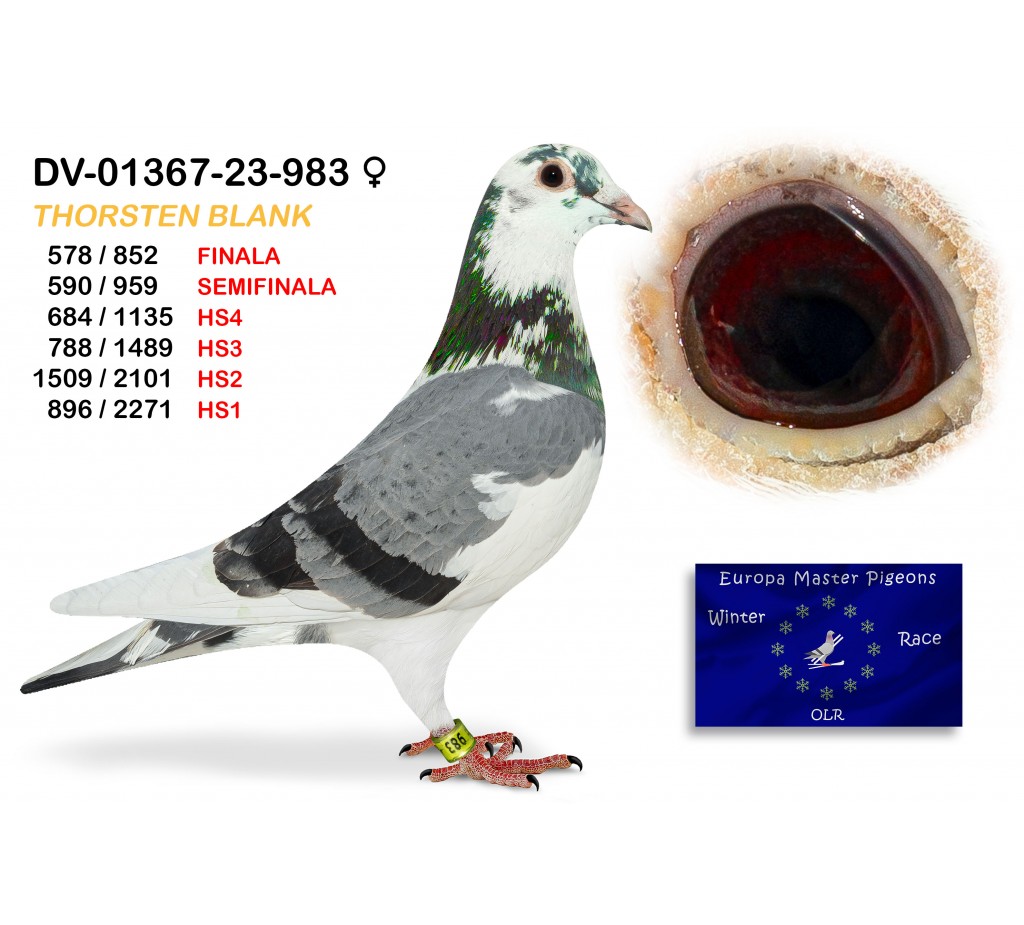 (♀️) 578th place - DV-01367-23-983 THORSTEN BLANK