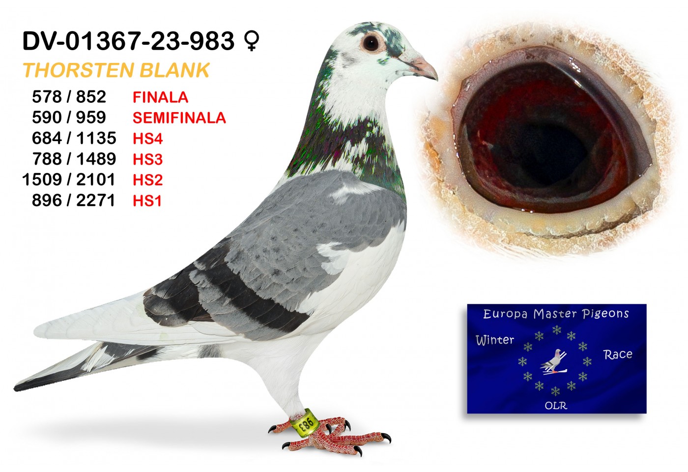 (♀️) 578th place - DV-01367-23-983 THORSTEN BLANK