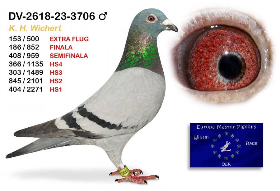 (♂️)  186th place - DV-02618-23-3706 K H WICHERT