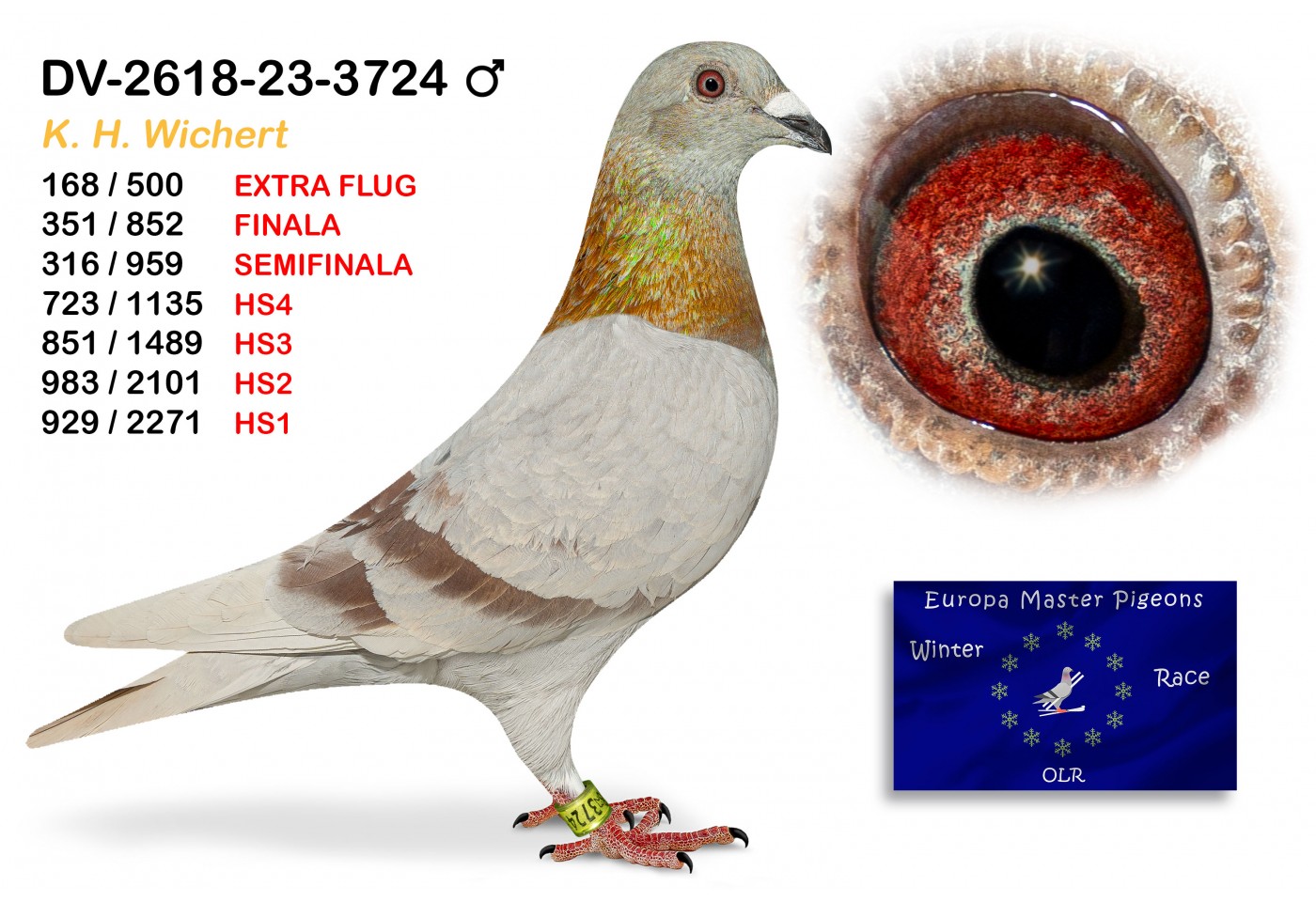 (♂️) 168th place EXTRA FLUG - DV-02618-23-3724 - K H WICHERT