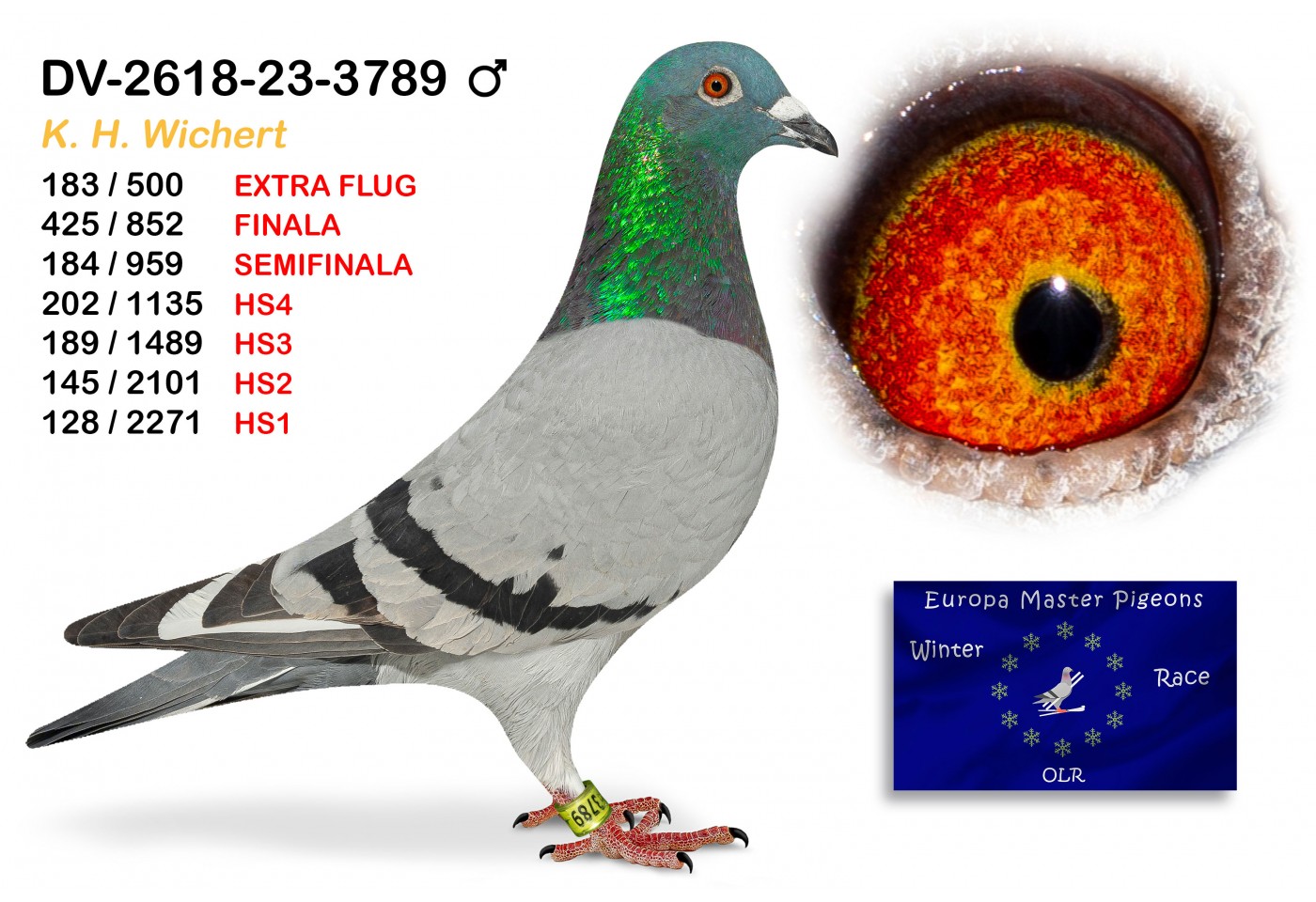 (♂️) 128th place HS1 - DV-02618-23-3789 K H WICHERT